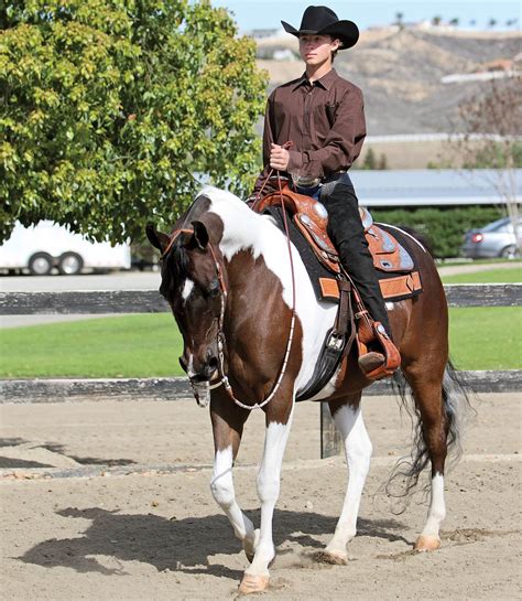 Horseback Riding Can Help Youngsters Become Good Drivers