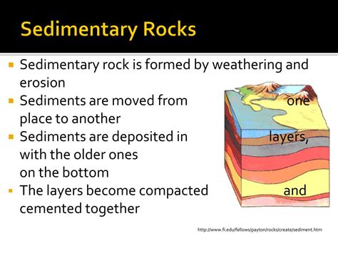 PPT - Sedimentary Rocks PowerPoint Presentation, free download - ID:2271056