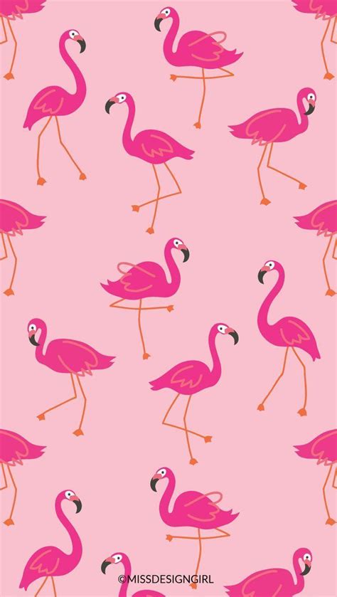 Flamingo Pink Wallpapers - Wallpaper Cave