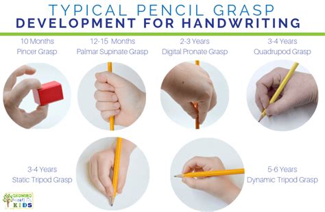 Typical Pencil Grasp Development for Kids | Pencil grasp development, Pencil grasp, Pencil grip ...