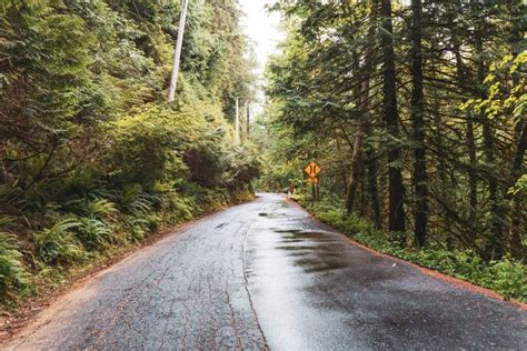 10 Amazing Trails For Hiking In Vancouver - Icy Canada