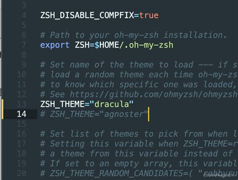 Mac终端 推荐 iTerm2，主题oh-my-zsh Dracula美化_iterm2 主题-CSDN博客