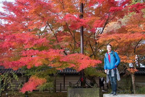 Kyoto Autumn Leaves - When to Go and Best Places to Visit ...