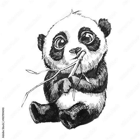 cute adorable baby panda bear illustration, hand drawn sketch of panda ...