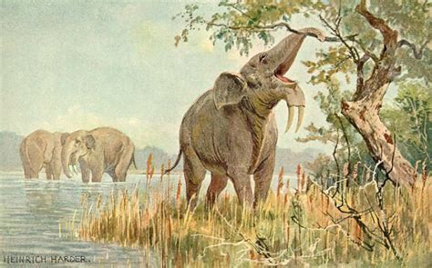 Deinotherium - Facts and Figures