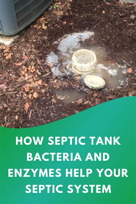 How Septic Tank Bacteria And Enzymes Help Your Septic System | Septic Tank Bacteria | Septic ...