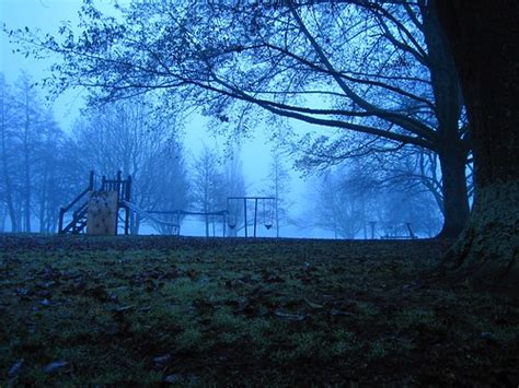 Fog, Playground. | 27 June, Kahikatea Park. | Tharrin | Flickr