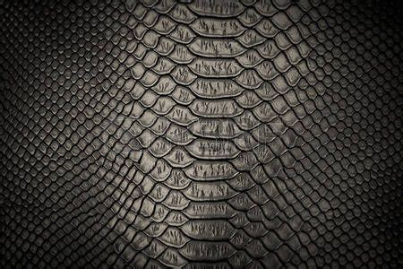 abstract snake: black snakeskin pattern texture background | Snake skin, Texture painting, Skin ...