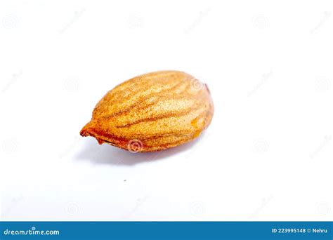 Peach Fruit Seed Isolated on White Stock Photo - Image of single, peach: 223995148