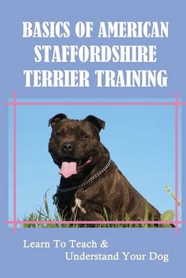 Basics Of American Staffordshire Terrier Training: Learn To Teach ...