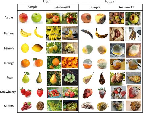 Sample images from fresh and rotten category for each fruit type from ...