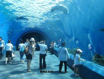 横滨八景岛海岛乐园-日本神奈川县横滨八景岛海岛乐园旅游指南