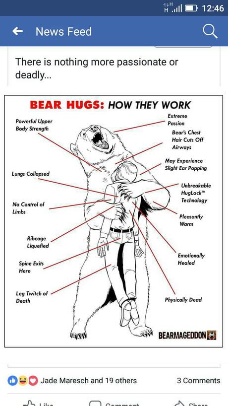 Best Funny bear hug Memes - 9GAG