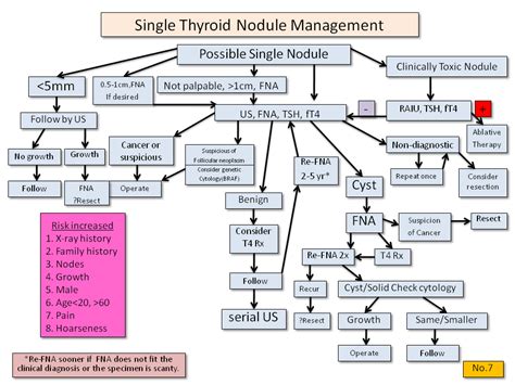 Single Thyroid Nodule Management – Thyroid Disease Manager Algorithms - Thyroid Disease Manager