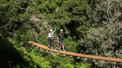 Rotorua Ziplines | Rotorua NZ