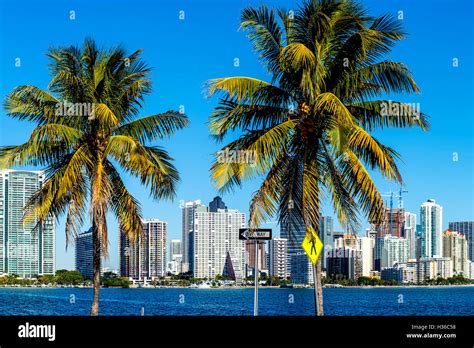 Miami Downtown skyline Stock Photo - Alamy