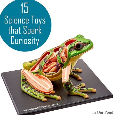 Science Toys that Spark Curiosity