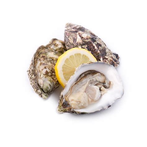 OYSTER – SOUTHERN ROCK SEAFOOD