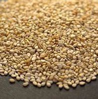 Sesame Seed at best price in Ahmedabad by Janus Global Trade Pvt. Ltd ...