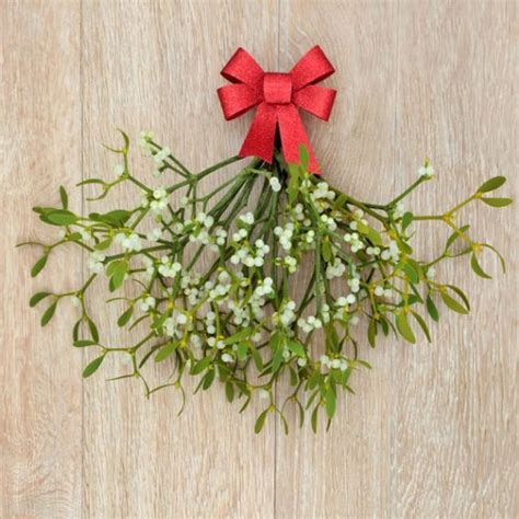 Mistletoe Christmas Crafts and Romantic Winter Decorating Ideas - family holiday.net/guide to ...