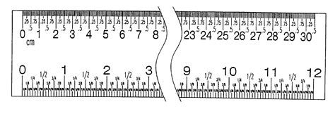 Ruler With Decimal Measurements