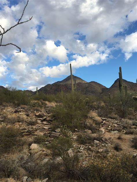 Hiking Through the McDowell Mountains | Arizona travel, Mountains ...