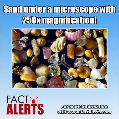 sand-magnified-250x | Things under a microscope, Grain of sand ...