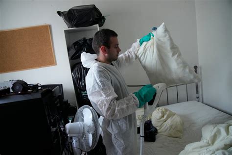 ‘It’s like Covid with legs’ — how the Paris bedbug outbreak sparked a London frenzy | The Standard