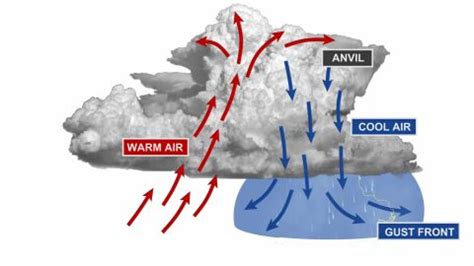 Tornado facts: How they form and what to look for | CNN