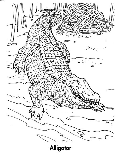 Sélection de coloriage alligator à imprimer sur LaGuerche.com - Page 7