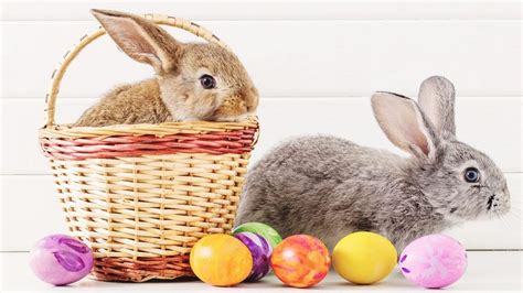 Did You Know The True Origin Of The Easter Bunny?