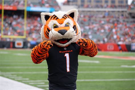 NFL mascots recreated by AI: How is the new Bengals mascot? - Cincy Jungle