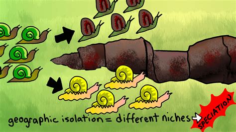 Geographic Isolation — Definition & Examples - Expii