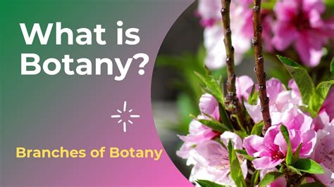 What is Botany | Branches of Botany | Introduction to Botany | Science ...