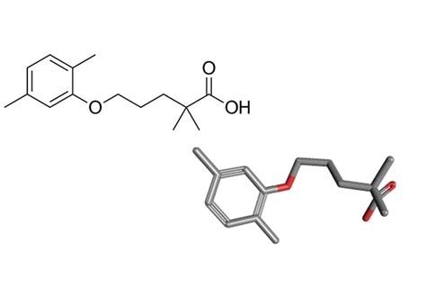 Gemfibrozil - Information, Uses, Side Effects and Dosage - zovon.com