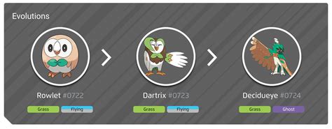 Shiny Rowlet, evolution chart, 100% perfect IV stats and Decidueye best moveset in Pokémon Go ...