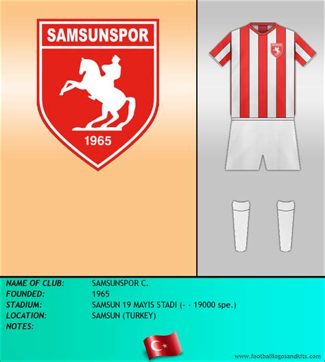 Logo of SAMSUNSPOR C.