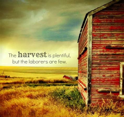 Christian Quotes About Harvest | Scripture, Christian quotes, Mission quotes