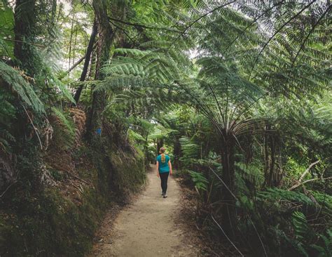 36 photos to inspire you to hike the Abel Tasman Track — Walk My World ...