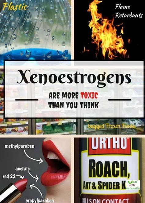 Why Xenoestrogens Are Harmful To Your Health And What To Do About It ...