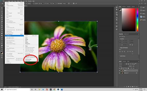 Our Complete Guide on How to Flip an Image in Photoshop