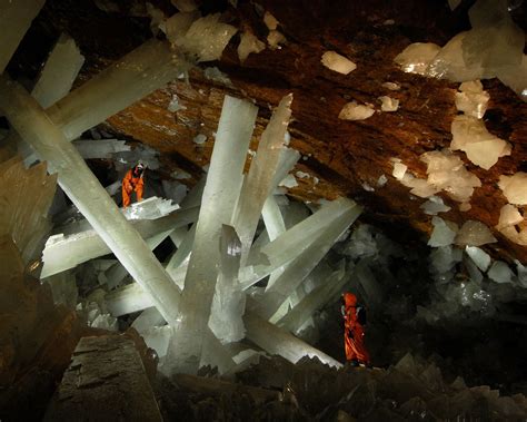 Cave of the Crystals or Giant Crystal Cave | Animal Photo