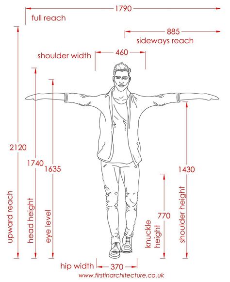 Dimensions of average man standing, average dimensions of male standing Man Standing, Male ...