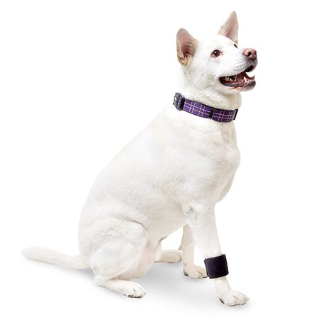 Wrist Wrap | Dog Brace for Front Leg | Joint Support for Dogs | Helps Canine Arthritis - Walmart.com