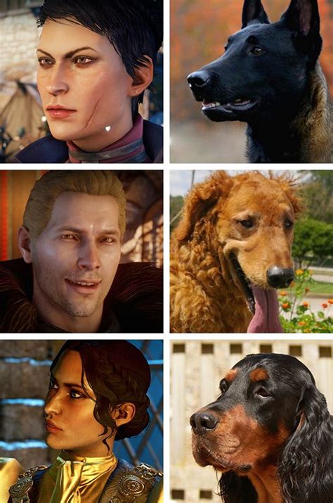 Added some Inquisition doggos now that I’ve finished the game. | Dragon ...