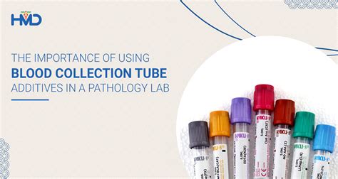 Blood Collection Tube Additives In A Pathology Lab