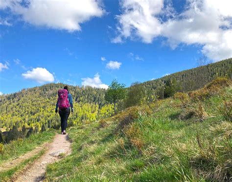 Hiking in the Black Forest in Germany - We12Travel