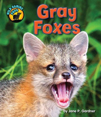 Gray Foxes (14) / Wild Canine Pups | Grey fox, Pup, Canine