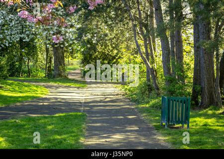 West End Park, Airdrie, North Lanarkshire, 03 May 2017, UK Weather. Beautiful blooming trees in ...