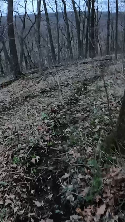 A First Iowa Gobbler | beard | Phillip Culpepper goes after his first ever Iowa Long Beard! | By ...